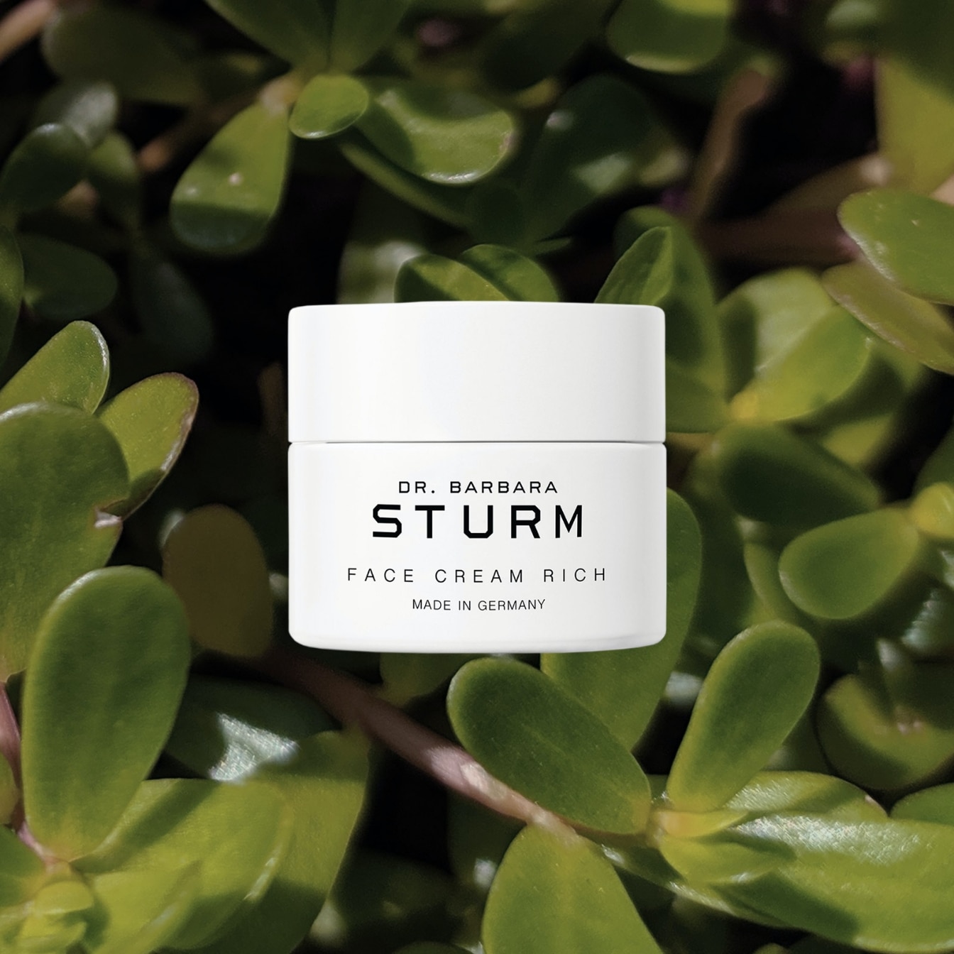 dfscom_stories_global_Apr_Supercharged-Skincare-Ingredients_purslane.jpg