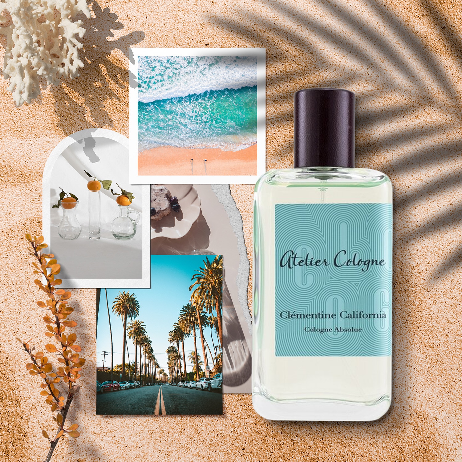dfscom_stories_global_202302_Fragrance_california.jpg