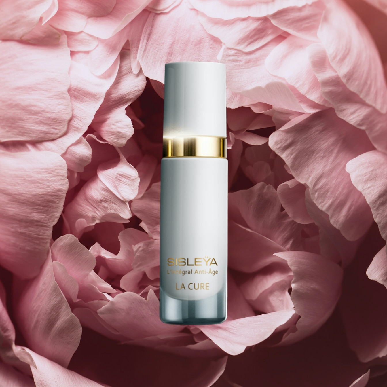 dfscom_stories_global_Apr_Supercharged-Skincare-Ingredients_peony.jpg